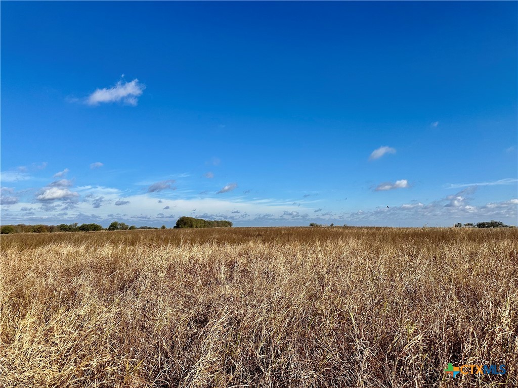 16306 Fm 2904 Property Photo 1