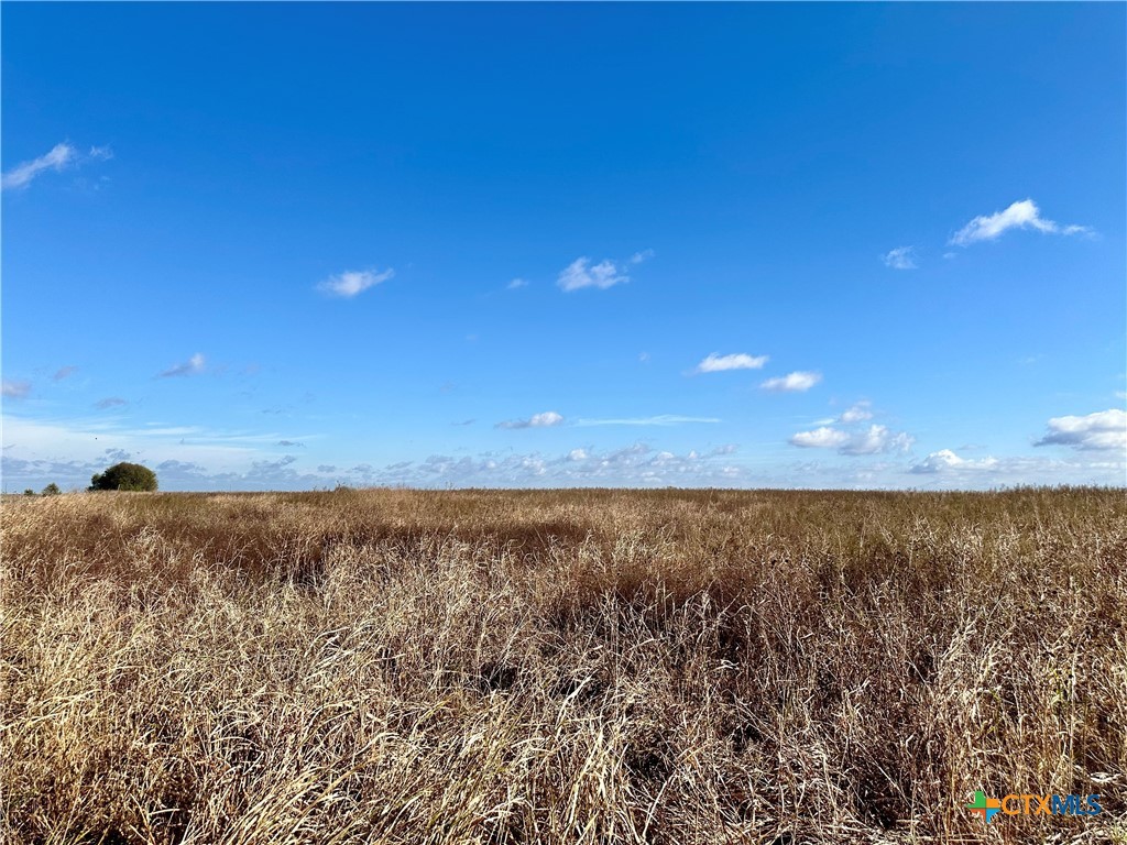 16306 Fm 2904 Property Photo 4