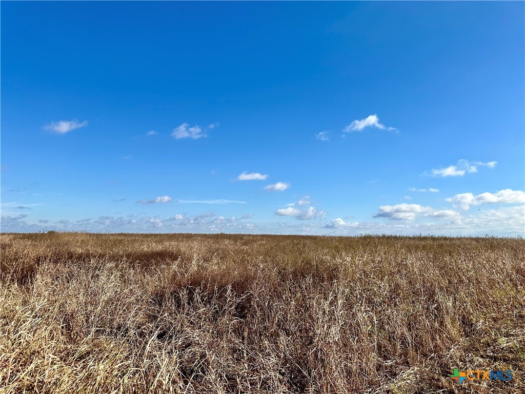16306 Fm 2904 Property Photo 5