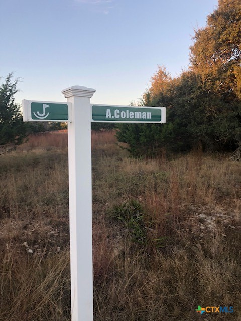 0 A Coleman Street Property Photo 2