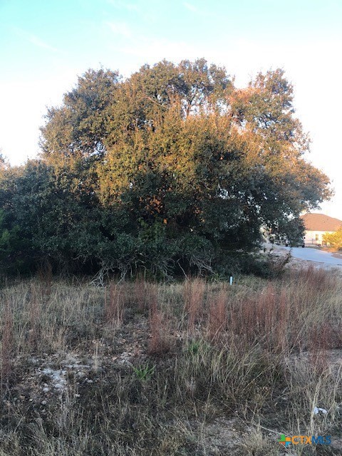 0 A Coleman Street Property Photo 3