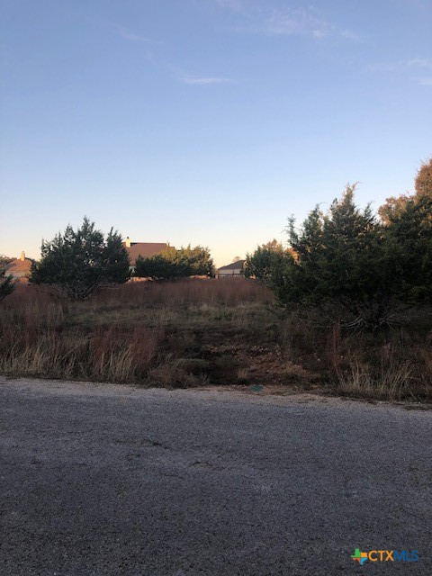 0 A Coleman Street Property Photo 4
