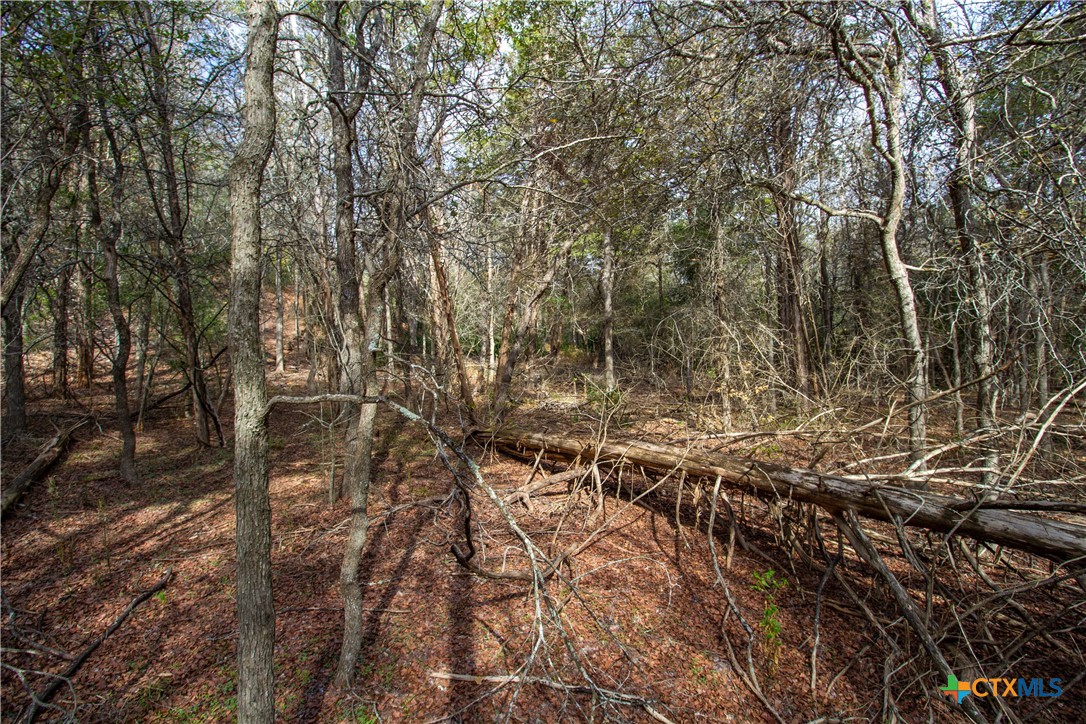 Tbd Hanauma Property Photo 9