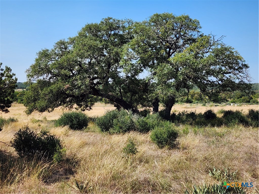 13586 Crows Ranch Road Property Photo 4