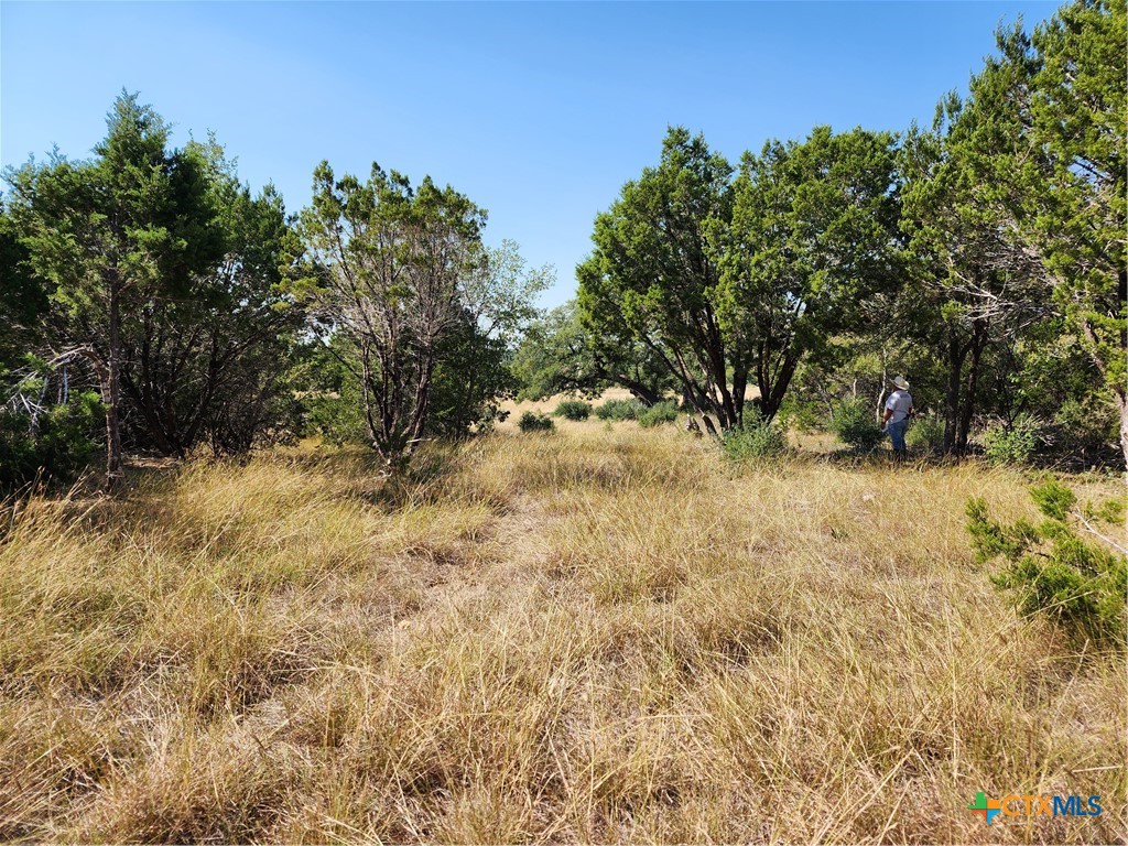 13586 Crows Ranch Road Property Photo 5