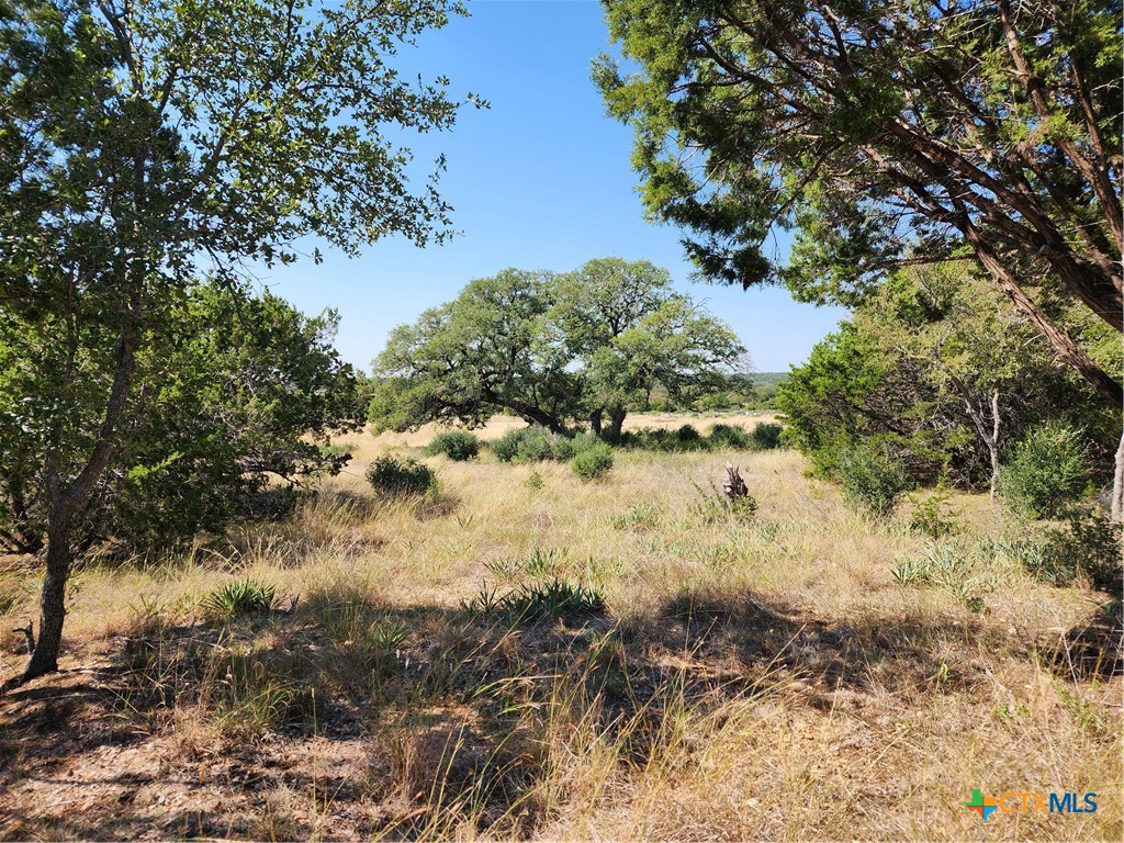 13586 Crows Ranch Road Property Photo 6