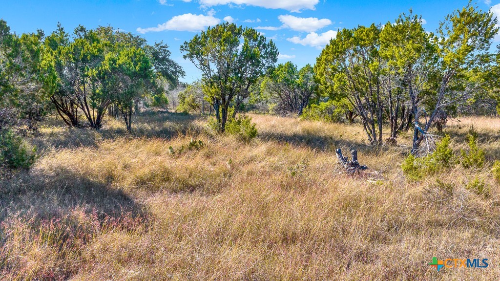 13586 Crows Ranch Road Property Photo 19