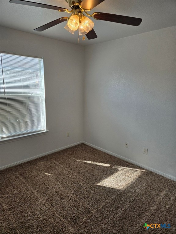 506 Primrose Drive B Property Photo 7