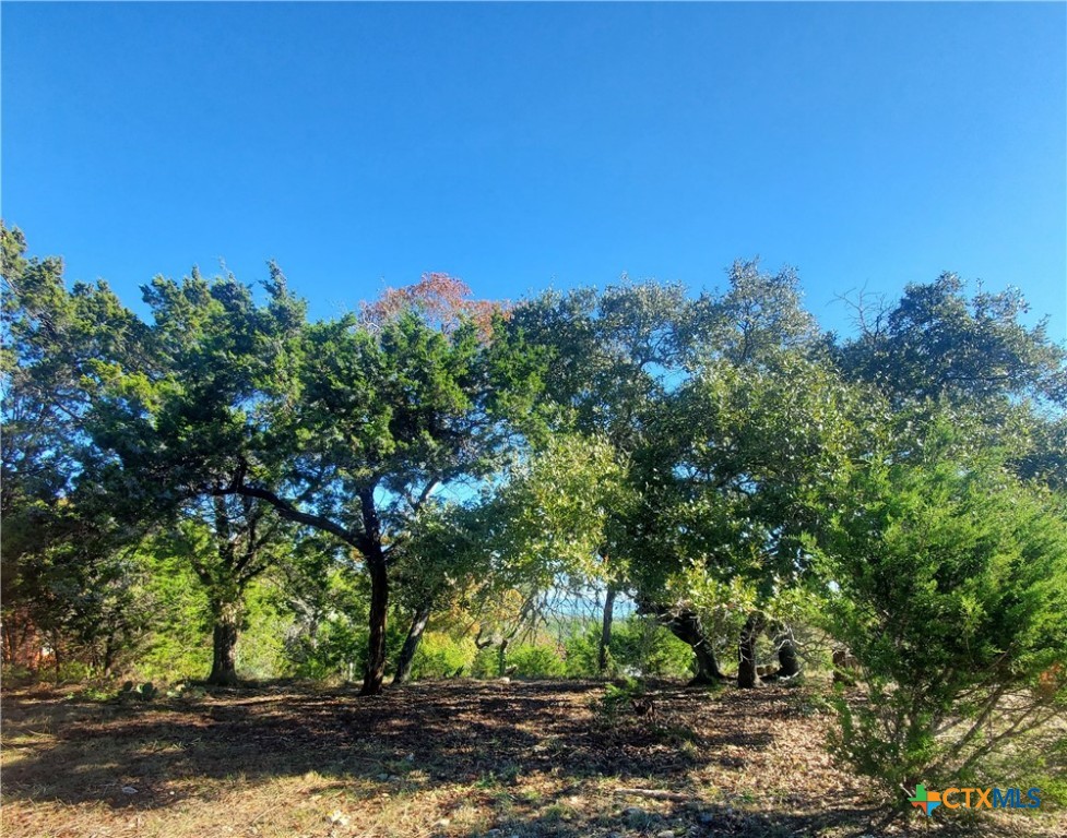 152 Mountainview Drive Property Photo 2