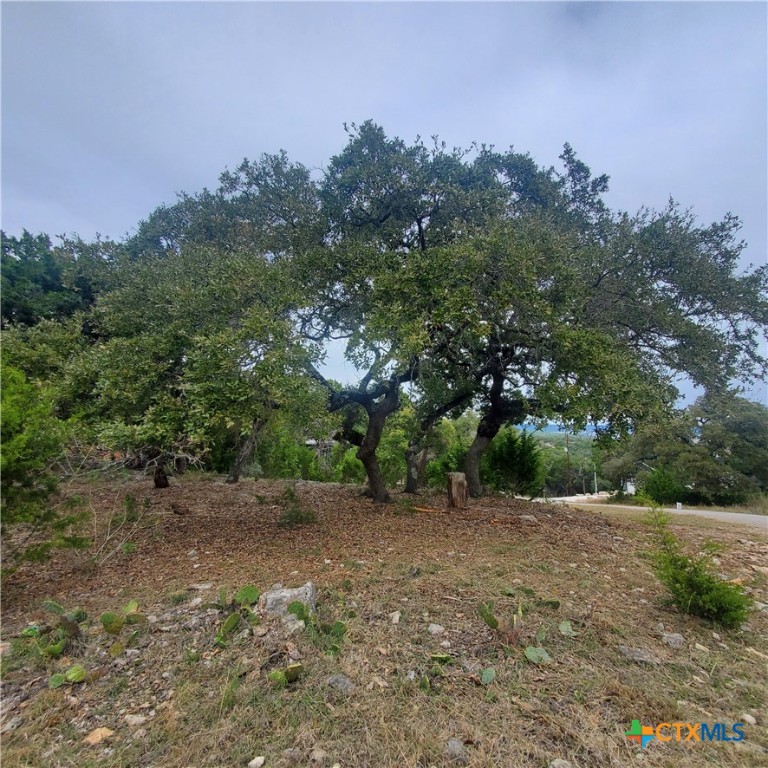 152 Mountainview Drive Property Photo 8