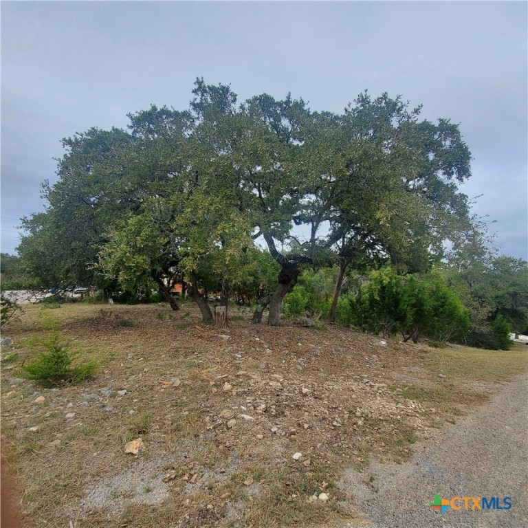 152 Mountainview Drive Property Photo 9