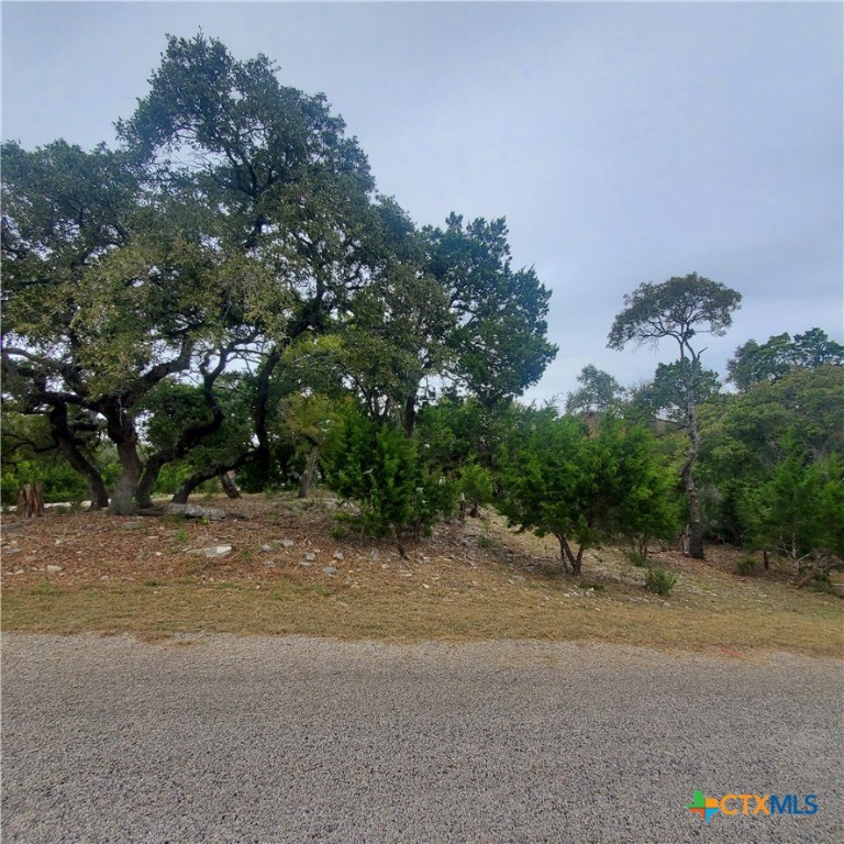 152 Mountainview Drive Property Photo 11