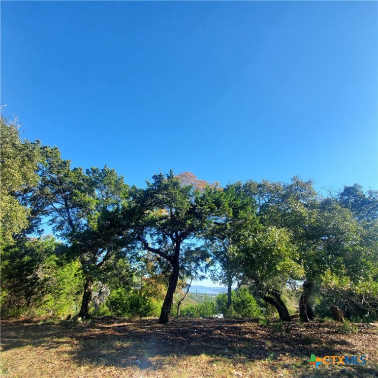 152 Mountainview Drive Property Photo 12