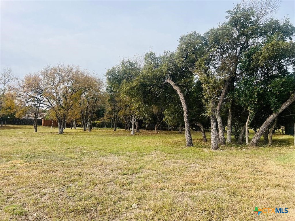 2009 Chalk Mill Crossing Property Photo 2