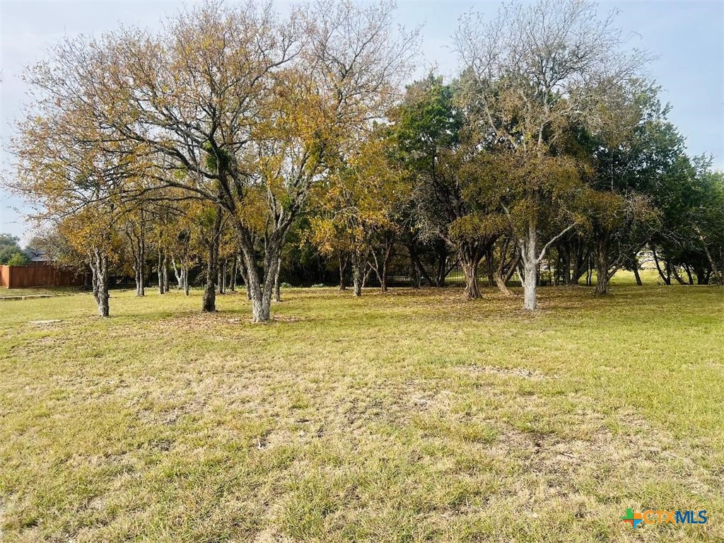 2009 Chalk Mill Crossing Property Photo 4