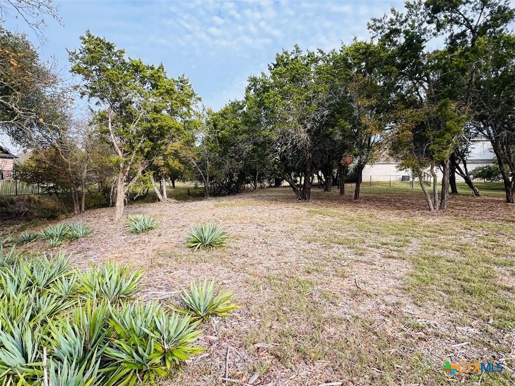 2009 Chalk Mill Crossing Property Photo 5