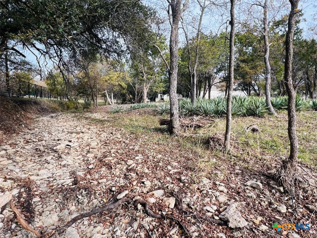 2009 Chalk Mill Crossing Property Photo 6