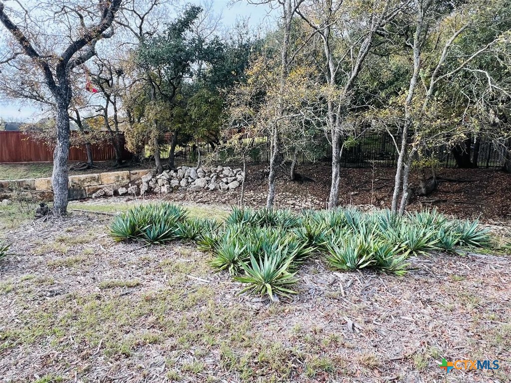 2009 Chalk Mill Crossing Property Photo 8