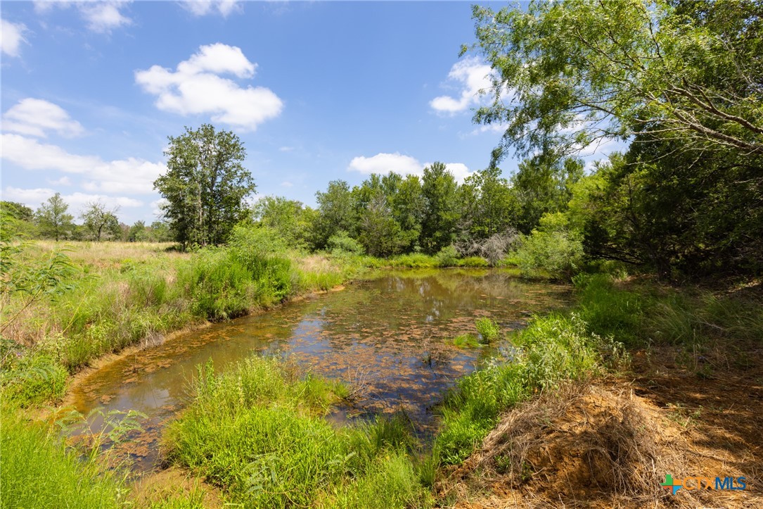 Tbd Us Highway 90 Property Photo 4