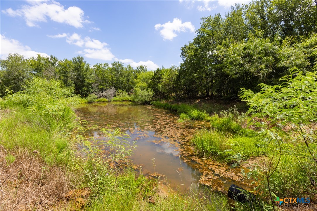 Tbd Us Highway 90 Property Photo 5