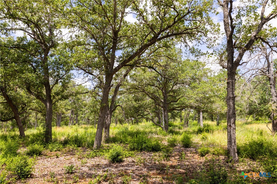 Tbd Us Highway 90 Property Photo 8