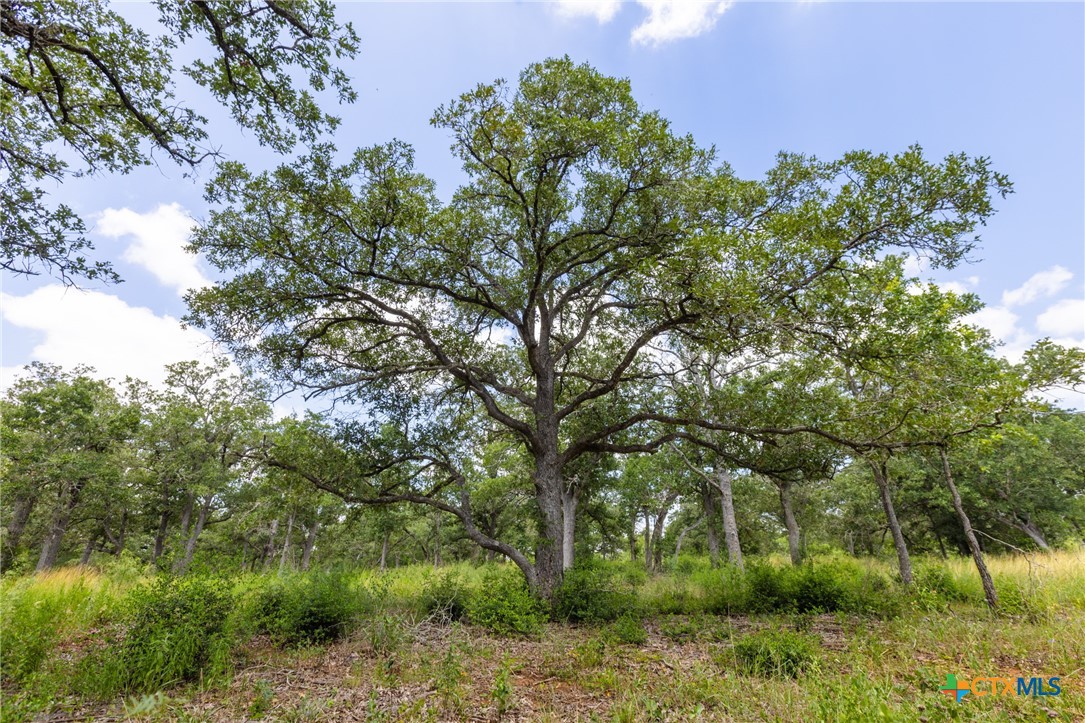Tbd Us Highway 90 Property Photo 9