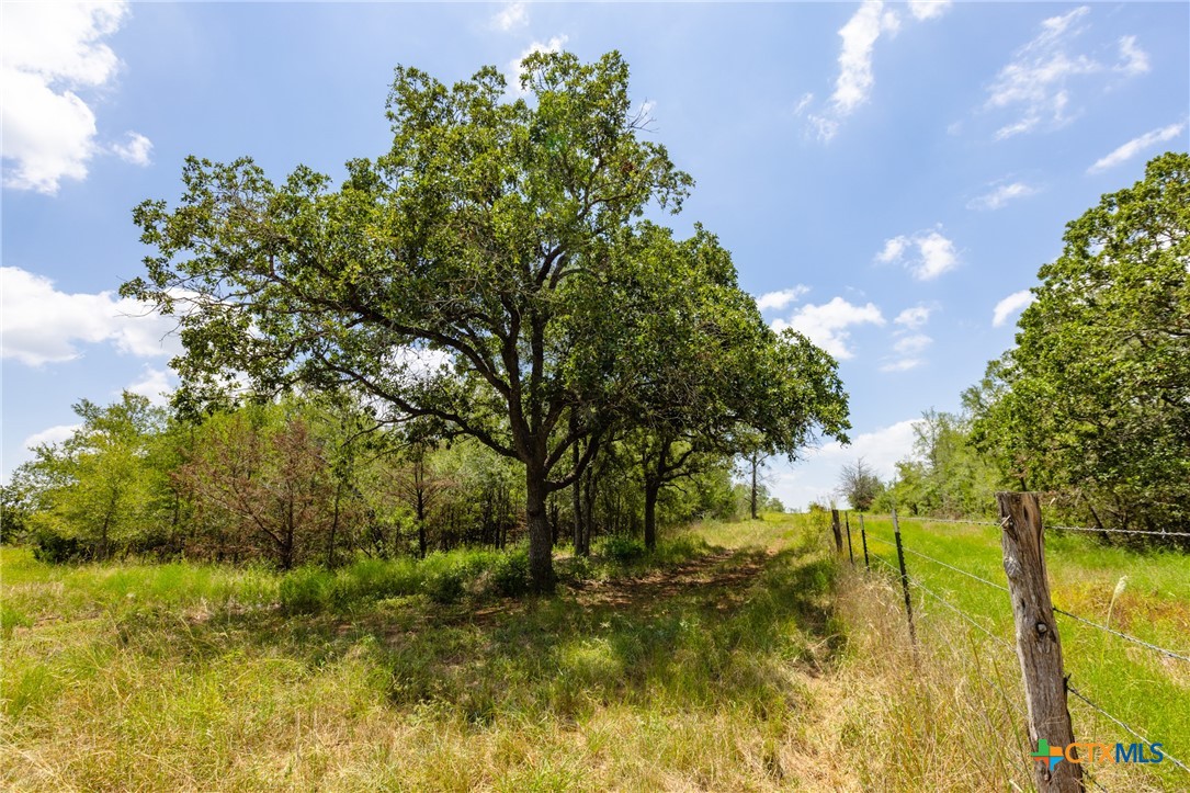 Tbd Us Highway 90 Property Photo 10