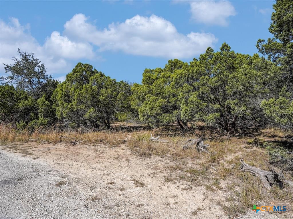 104 River Rapids Loop Property Photo 1