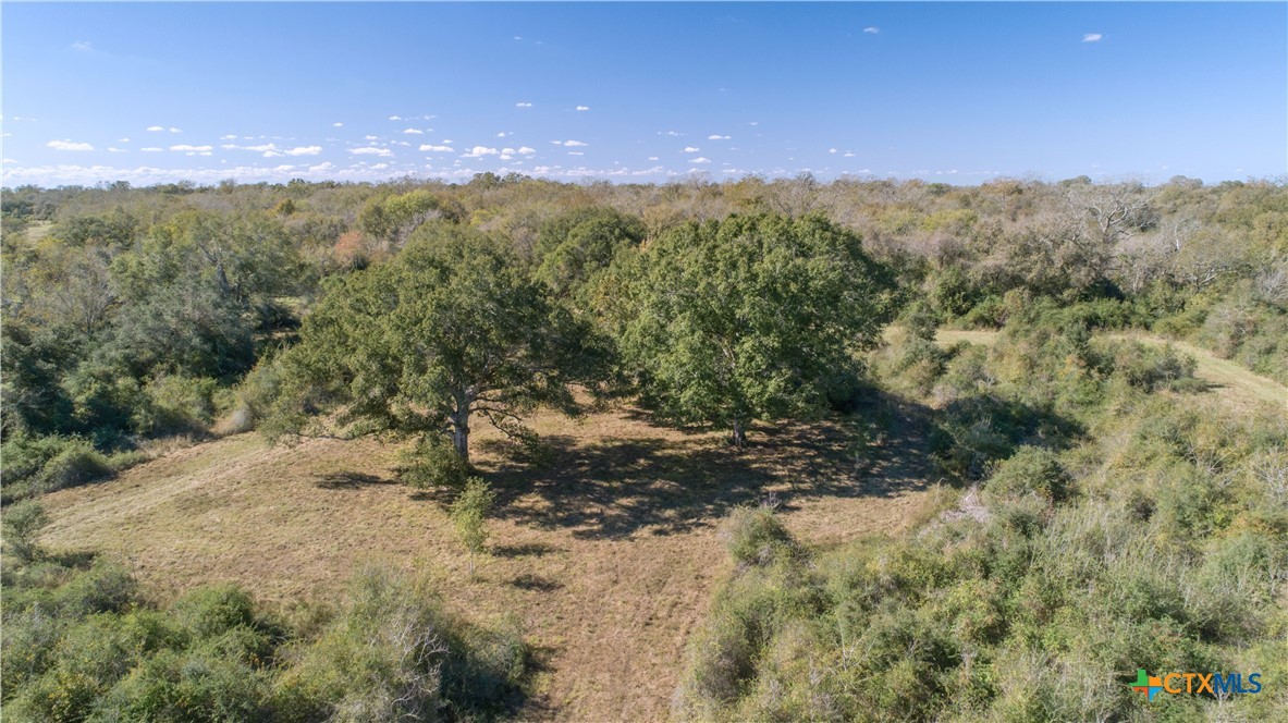 7462 County Road 284 Property Photo 1