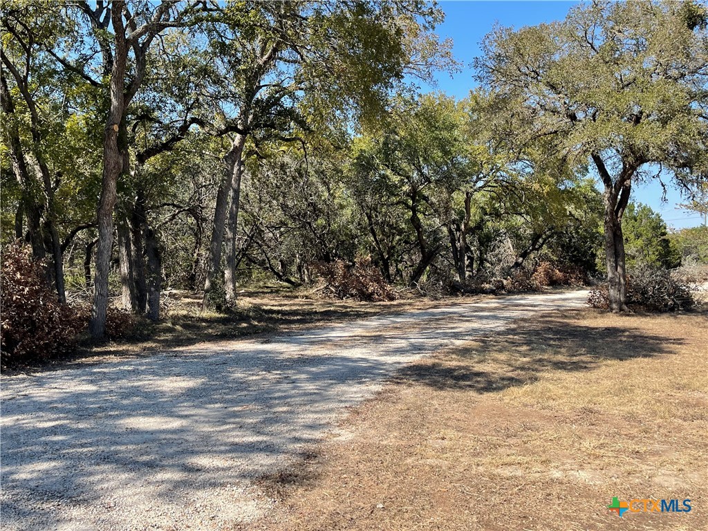 29061 Fm 306 Property Photo 2
