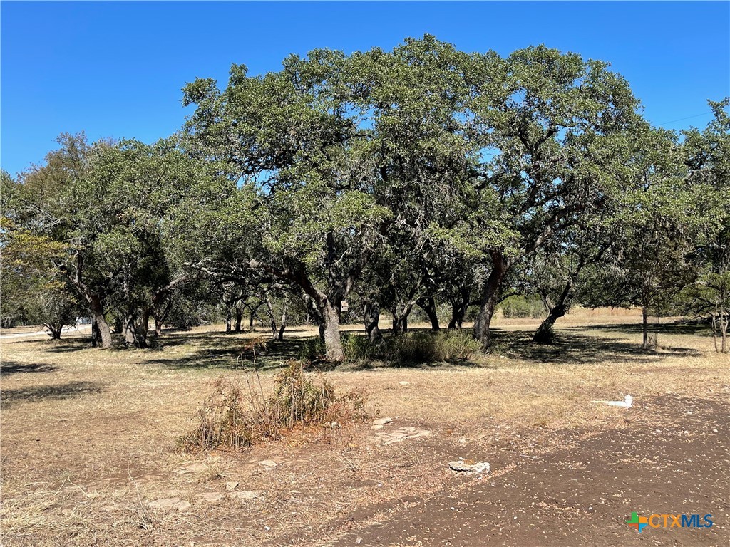 29061 Fm 306 Property Photo 3