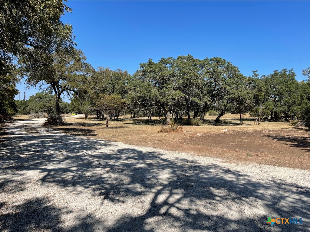 29061 Fm 306 Property Photo 5