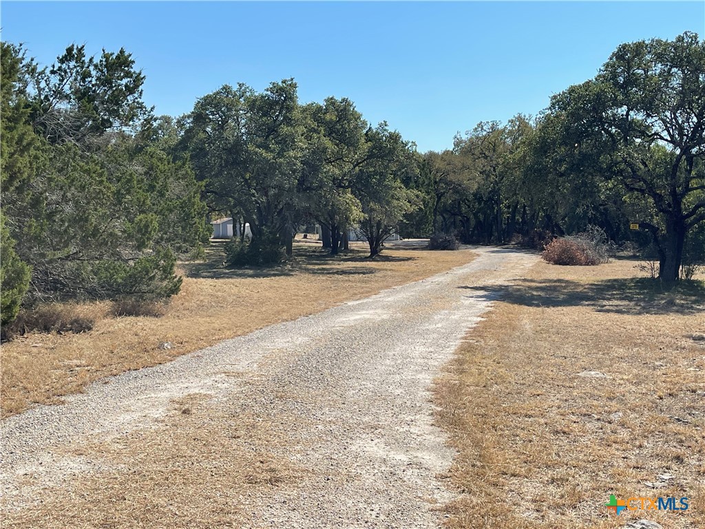 29061 Fm 306 Property Photo 6