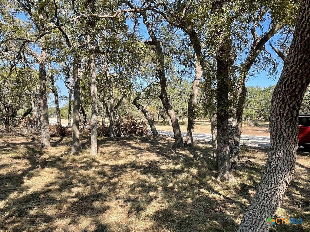 29061 Fm 306 Property Photo 7