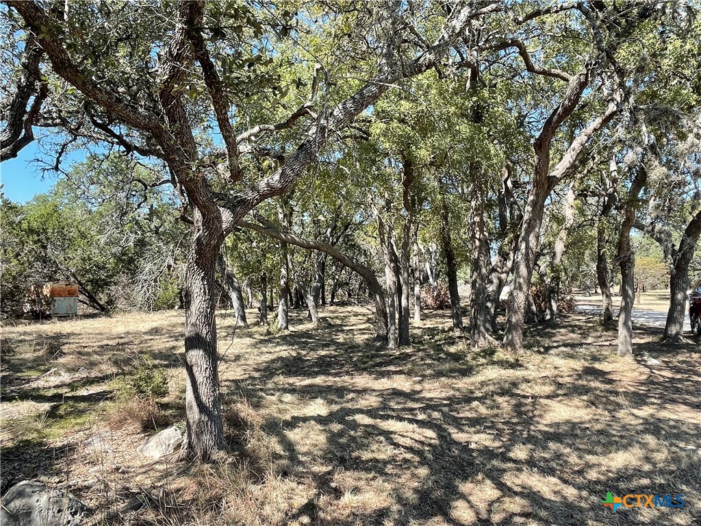 29061 Fm 306 Property Photo 8