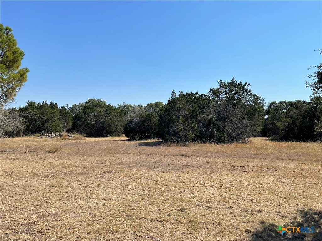 29061 Fm 306 Property Photo 9