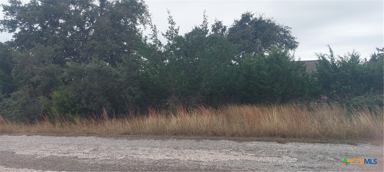 106 Jacob Dearing Property Photo 2