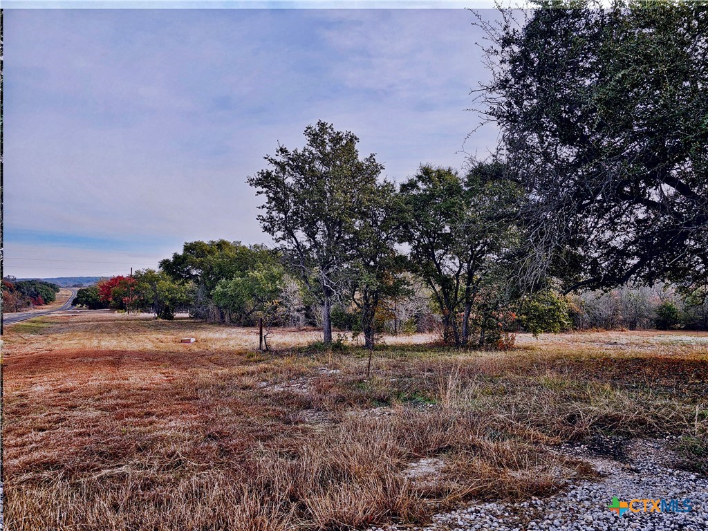 2300 Fm 215 Property Photo 5