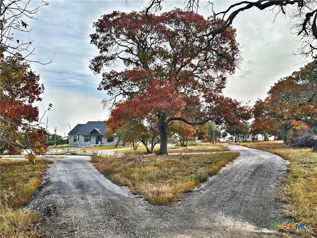 2300 Fm 215 Property Photo 8