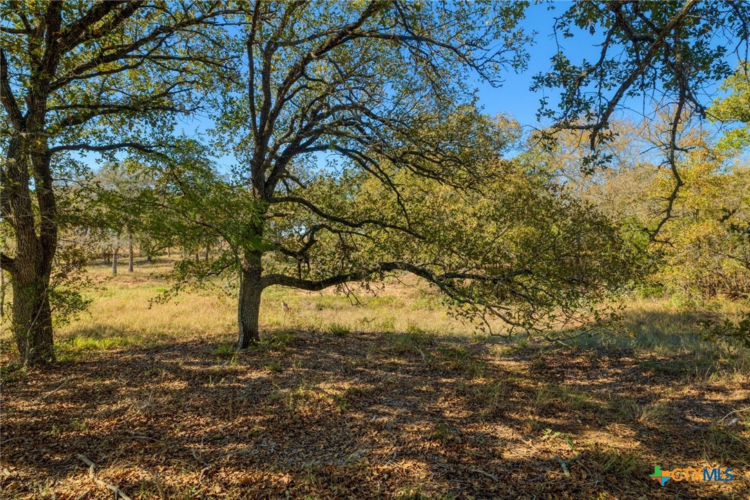200 Azalea Court Property Photo 15