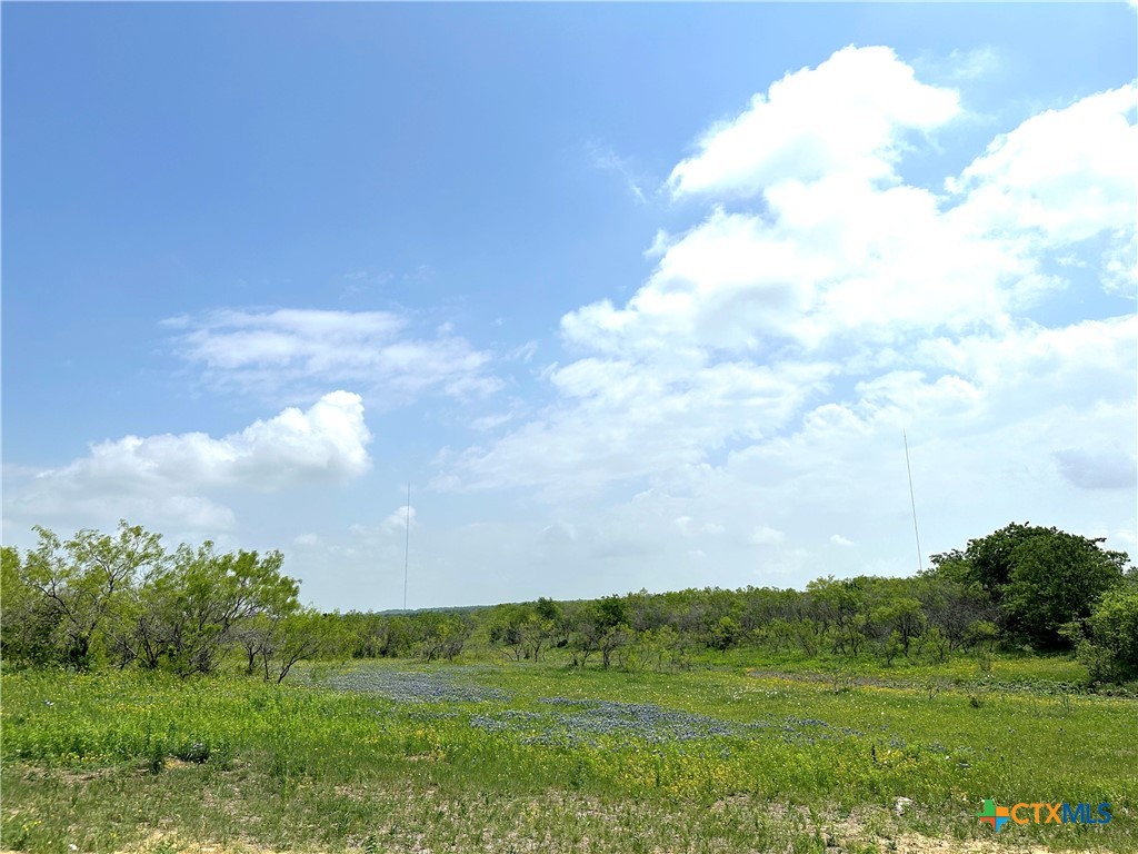 15.3 Ac. Tract 03 Spring Valley Road Property Photo 10