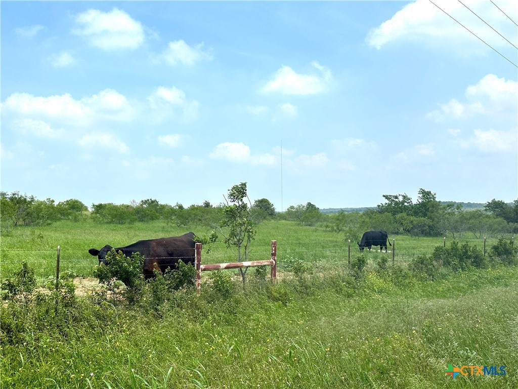 15.3 Ac. Tract 03 Spring Valley Road Property Photo 12