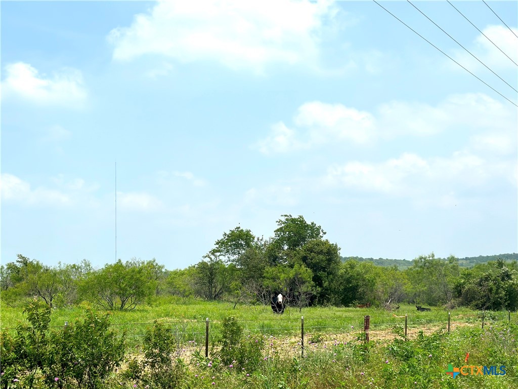 15.3 Ac. Tract 03 Spring Valley Road Property Photo 13