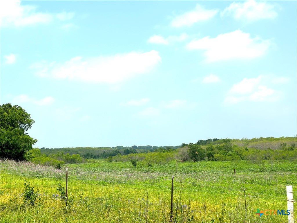 15.3 Ac. Tract 03 Spring Valley Road Property Photo 15