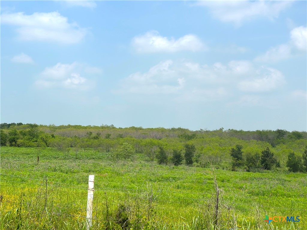 15.3 Ac. Tract 03 Spring Valley Road Property Photo 16