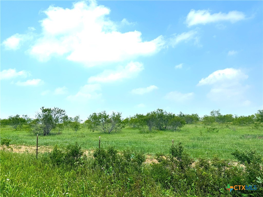15.3 Ac. Tract 03 Spring Valley Road Property Photo 18