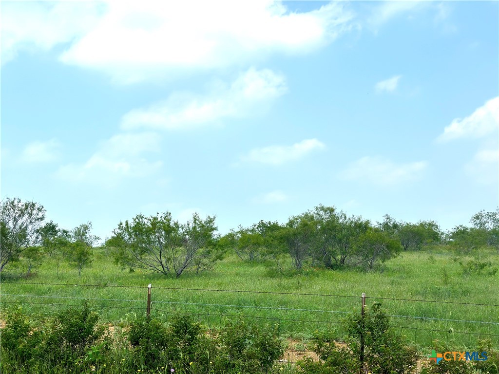 15.3 Ac. Tract 03 Spring Valley Road Property Photo 19