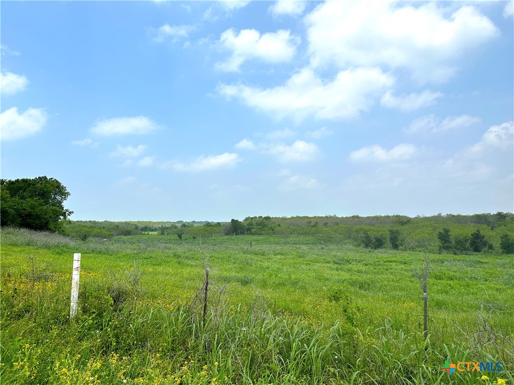15.3 Ac. Tract 03 Spring Valley Road Property Photo 20