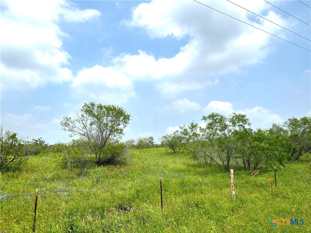 15.3 Ac. Tract 03 Spring Valley Road Property Photo 21