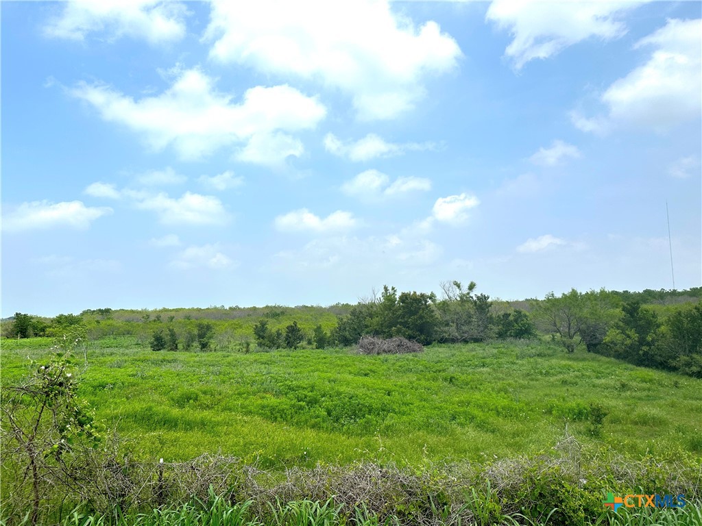 15.3 Ac. Tract 03 Spring Valley Road Property Photo 22